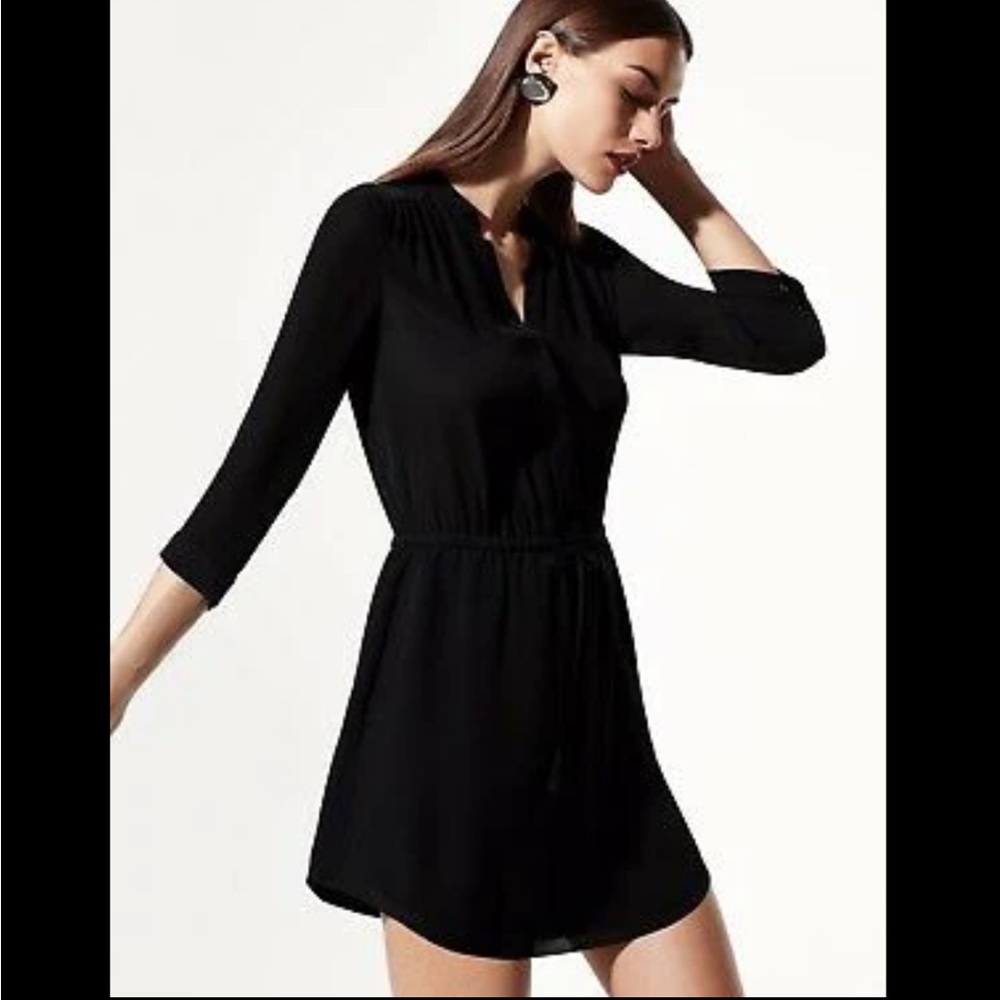 Aritzia Babaton 100% Silk Dress